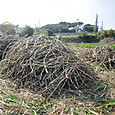 Img_3190_2